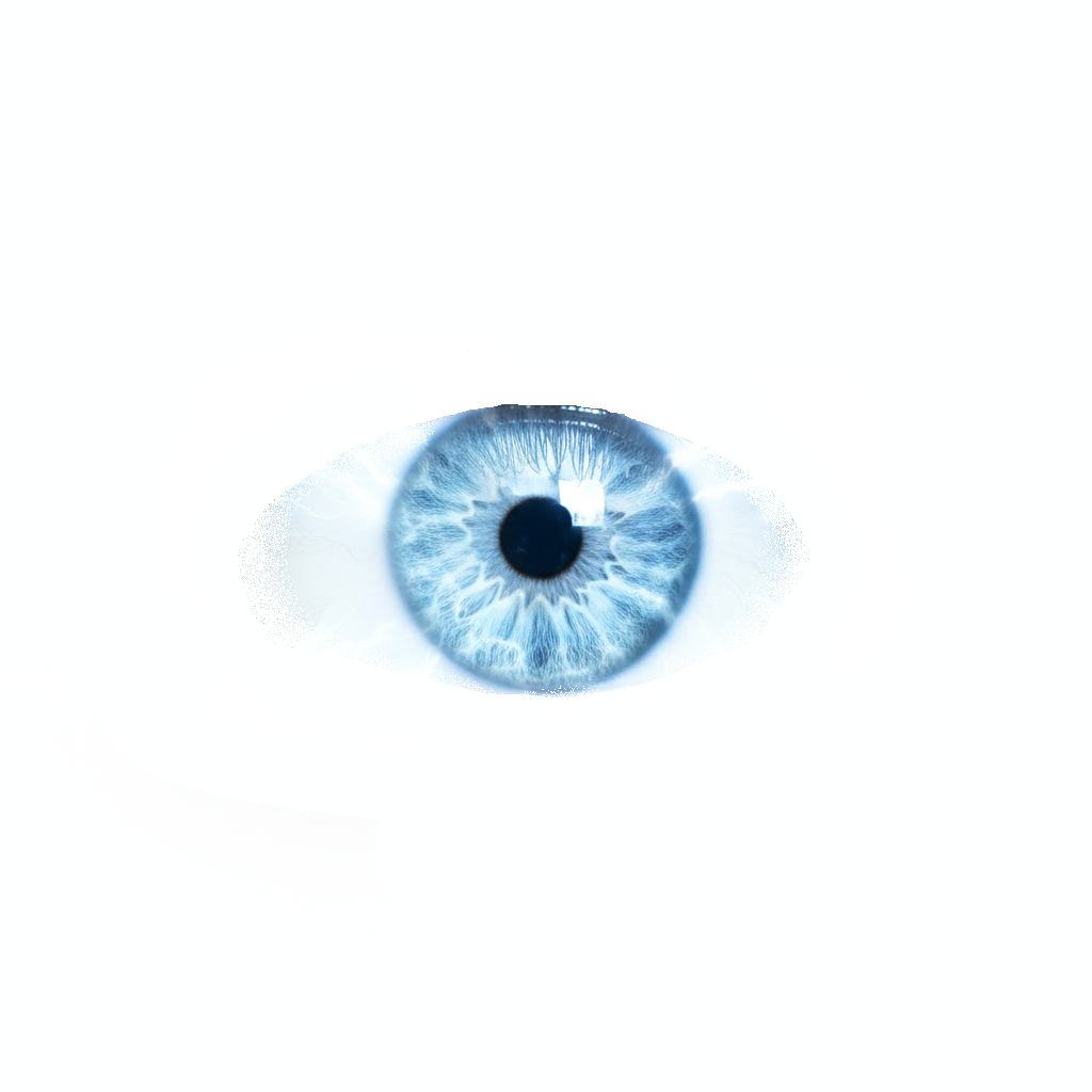 Eye